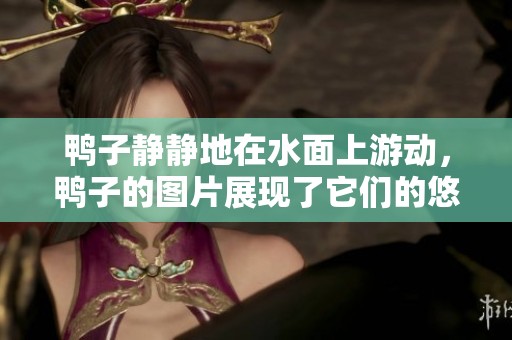 鸭子静静地在水面上游动，鸭子的图片展现了它们的悠闲时光