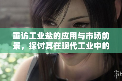 重访工业盐的应用与市场前景，探讨其在现代工业中的重要性