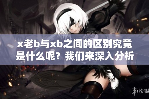 x老b与xb之间的区别究竟是什么呢？我们来深入分析一下这两者的不同之处。