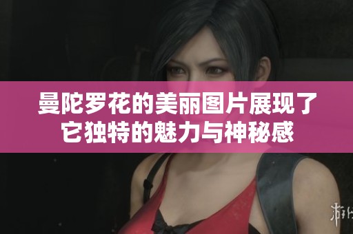 曼陀罗花的美丽图片展现了它独特的魅力与神秘感