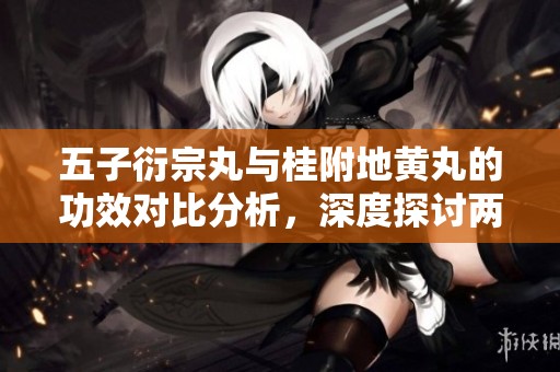 五子衍宗丸与桂附地黄丸的功效对比分析，深度探讨两者的应用潜力