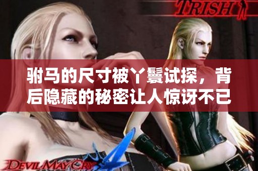 驸马的尺寸被丫鬟试探，背后隐藏的秘密让人惊讶不已