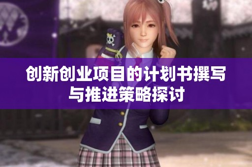 创新创业项目的计划书撰写与推进策略探讨