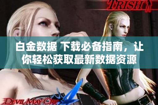 白金数据 下载必备指南，让你轻松获取最新数据资源