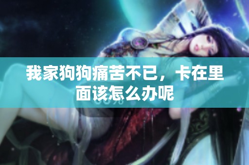 我家狗狗痛苦不已，卡在里面该怎么办呢