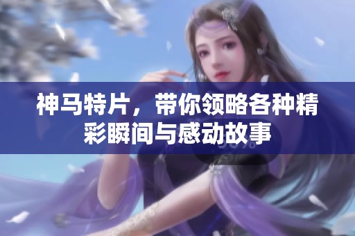 神马特片，带你领略各种精彩瞬间与感动故事