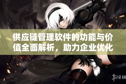 供应链管理软件的功能与价值全面解析，助力企业优化运营效率
