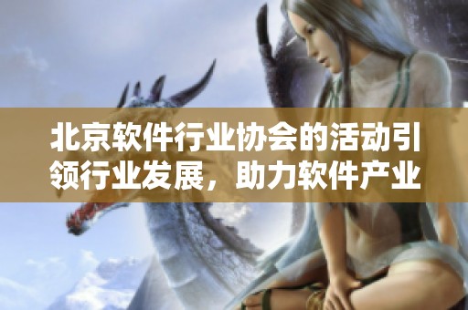 北京软件行业协会的活动引领行业发展，助力软件产业蓬勃创新与成长