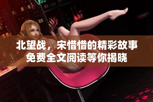 北望战，宋惜惜的精彩故事免费全文阅读等你揭晓