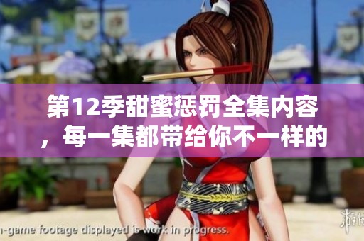 第12季甜蜜惩罚全集内容，每一集都带给你不一样的惊喜与感动