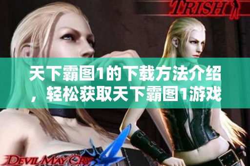 天下霸图1的下载方法介绍，轻松获取天下霸图1游戏资源