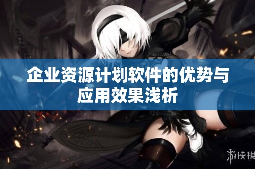 企业资源计划软件的优势与应用效果浅析
