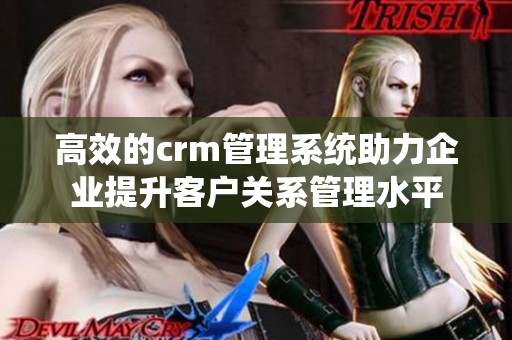 高效的crm管理系统助力企业提升客户关系管理水平