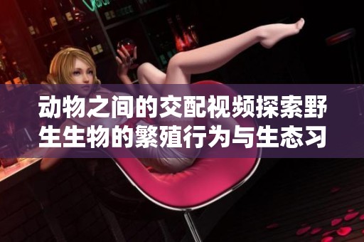 动物之间的交配视频探索野生生物的繁殖行为与生态习性