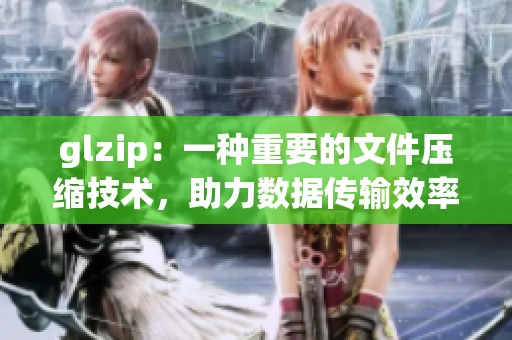 glzip：一种重要的文件压缩技术，助力数据传输效率提升
