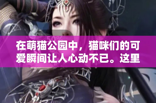 在萌猫公园中，猫咪们的可爱瞬间让人心动不已。这里真是一个奇妙的猫咪乐园！