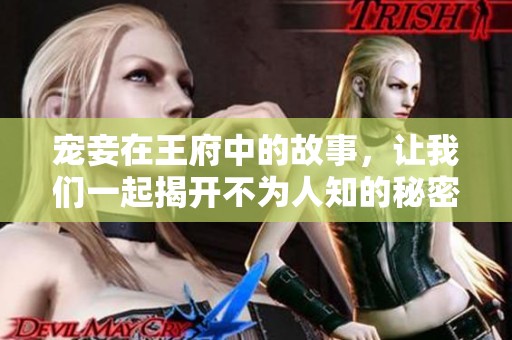 宠妾在王府中的故事，让我们一起揭开不为人知的秘密与情感。