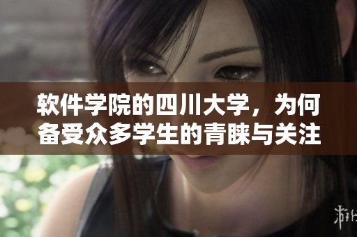 软件学院的四川大学，为何备受众多学生的青睐与关注呢