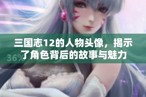三国志12的人物头像，揭示了角色背后的故事与魅力