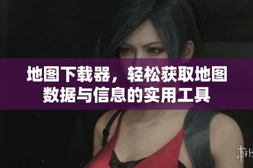 地图下载器，轻松获取地图数据与信息的实用工具