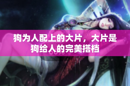 狗为人配上的大片，大片是狗给人的完美搭档