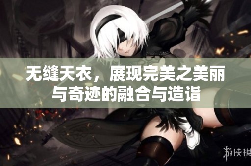 无缝天衣，展现完美之美丽与奇迹的融合与造诣