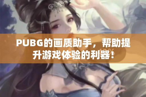 PUBG的画质助手，帮助提升游戏体验的利器！