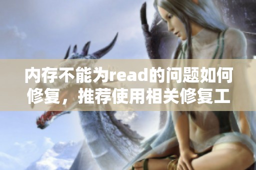 内存不能为read的问题如何修复，推荐使用相关修复工具进行解决