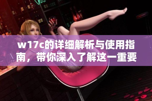 w17c的详细解析与使用指南，带你深入了解这一重要工具的功能与应用