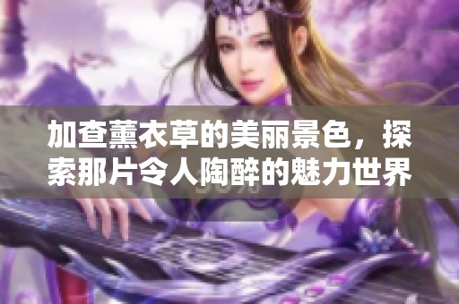 加查薰衣草的美丽景色，探索那片令人陶醉的魅力世界