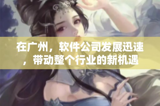 在广州，软件公司发展迅速，带动整个行业的新机遇