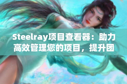 Steelray项目查看器：助力高效管理您的项目，提升团队协作与进度精确度