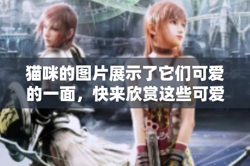 猫咪的图片展示了它们可爱的一面，快来欣赏这些可爱的猫咪吧