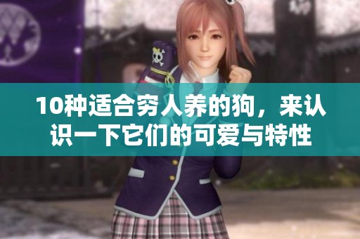 10种适合穷人养的狗，来认识一下它们的可爱与特性