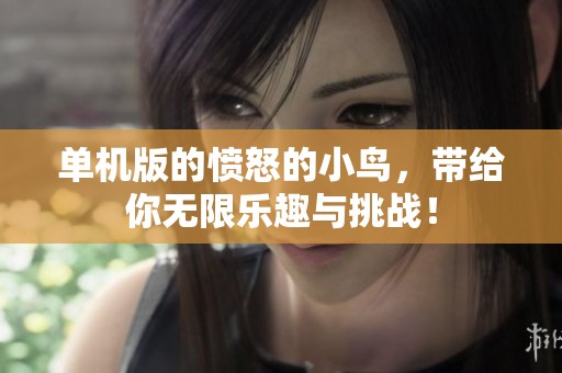单机版的愤怒的小鸟，带给你无限乐趣与挑战！