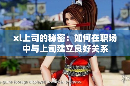xl上司的秘密：如何在职场中与上司建立良好关系