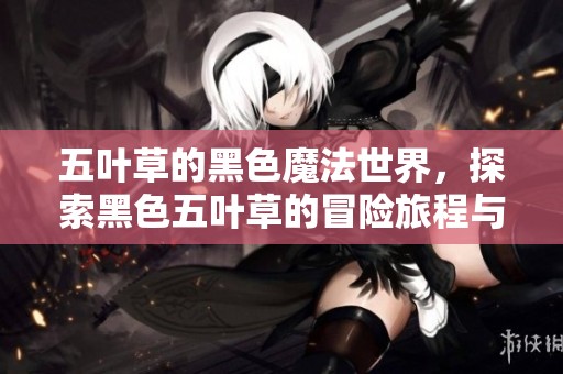 五叶草的黑色魔法世界，探索黑色五叶草的冒险旅程与角色故事