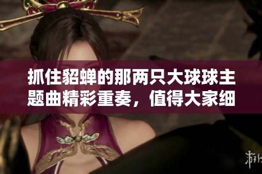 抓住貂蝉的那两只大球球主题曲精彩重奏，值得大家细细品味与欣赏！