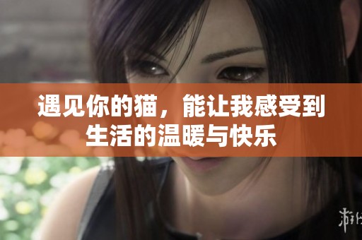 遇见你的猫，能让我感受到生活的温暖与快乐