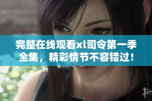 完整在线观看xl司令第一季全集，精彩情节不容错过！