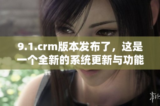 9.1.crm版本发布了，这是一个全新的系统更新与功能提升