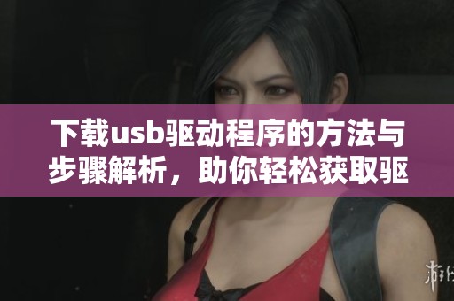 下载usb驱动程序的方法与步骤解析，助你轻松获取驱动工具