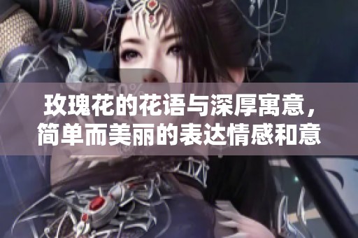 玫瑰花的花语与深厚寓意，简单而美丽的表达情感和意思