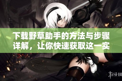 下载野草助手的方法与步骤详解，让你快速获取这一实用工具
