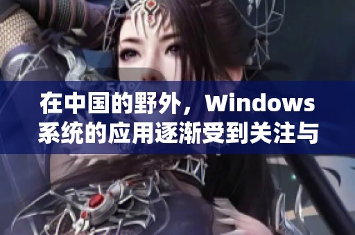 在中国的野外，Windows系统的应用逐渐受到关注与重视。