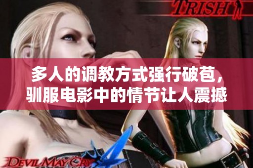 多人的调教方式强行破苞，驯服电影中的情节让人震撼