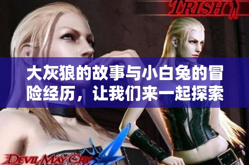 大灰狼的故事与小白兔的冒险经历，让我们来一起探索吧！