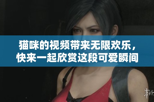 猫咪的视频带来无限欢乐，快来一起欣赏这段可爱瞬间吧！