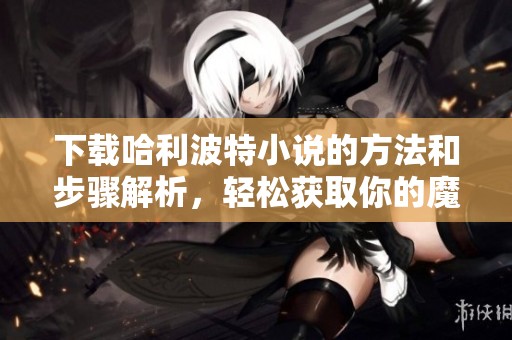 下载哈利波特小说的方法和步骤解析，轻松获取你的魔法冒险之旅
