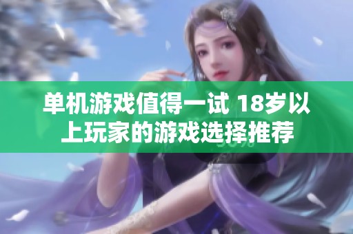 单机游戏值得一试 18岁以上玩家的游戏选择推荐